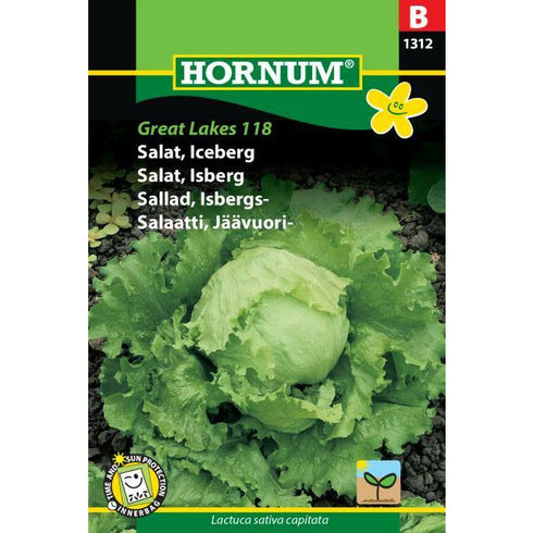 Iceberg lettuce Great Lakes 118